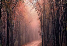 九游APP关于克里夫兰骑士集结日造点机会，志在NBA常规赛名次提升，震撼外界，赛程密集仍需轮换的信息